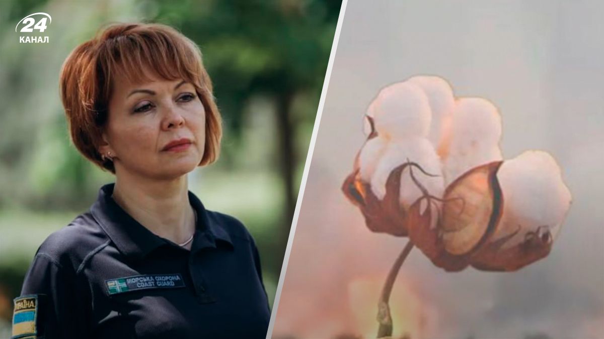 Гуменюк прокоментувала нічну бавовну у Криму - 24 Канал