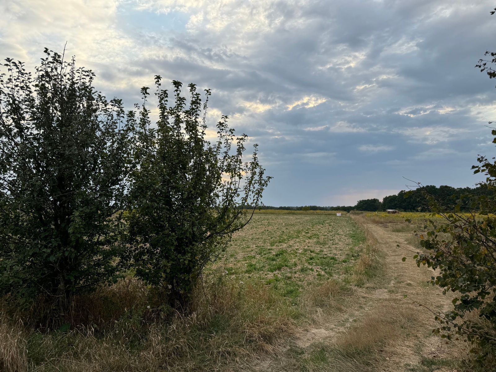 Почему земли стало меньше