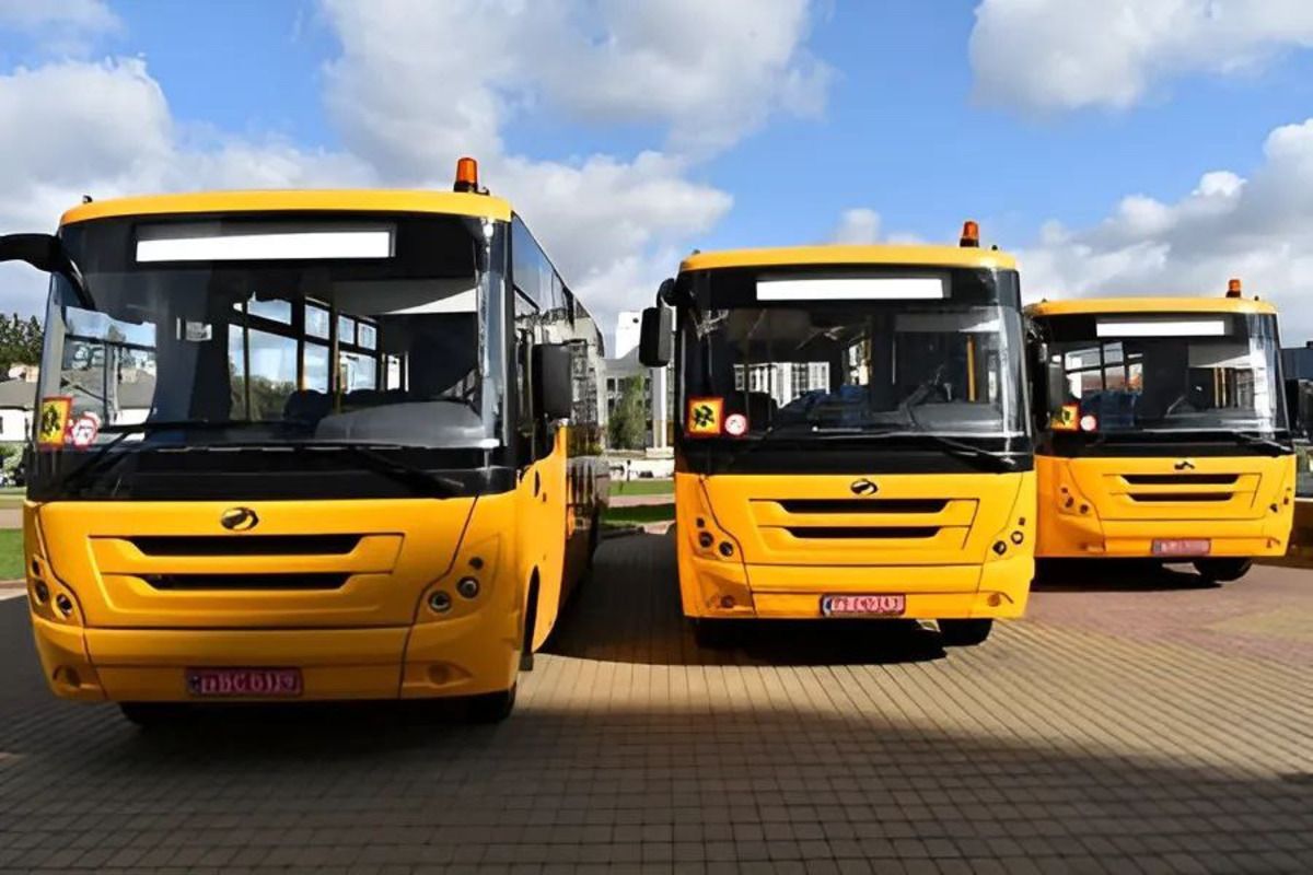 Закупка школьных автобусов - правительство распределило более 270 миллионов между областями 