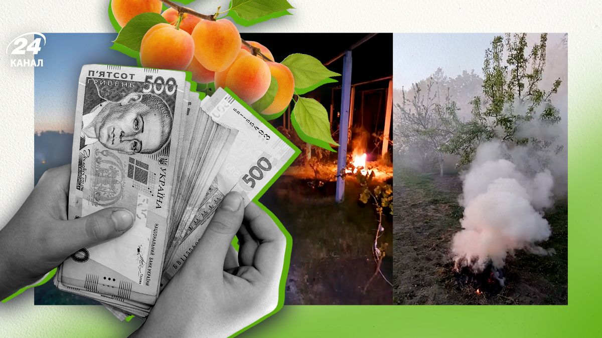 Что будет с фруктовой отраслью из-за морозов